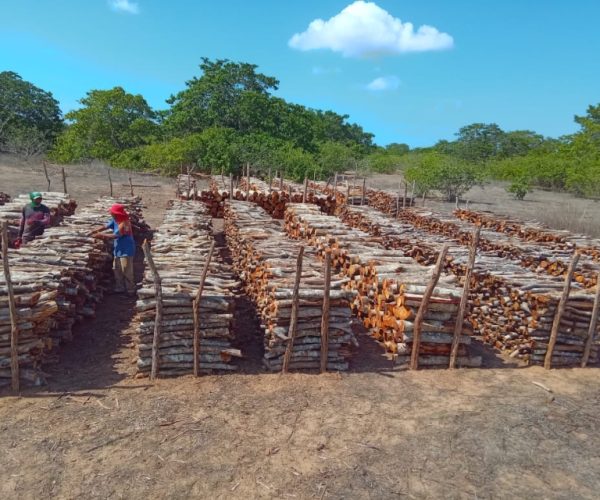 Estudos Hidrológicos e Supressão Vegetal